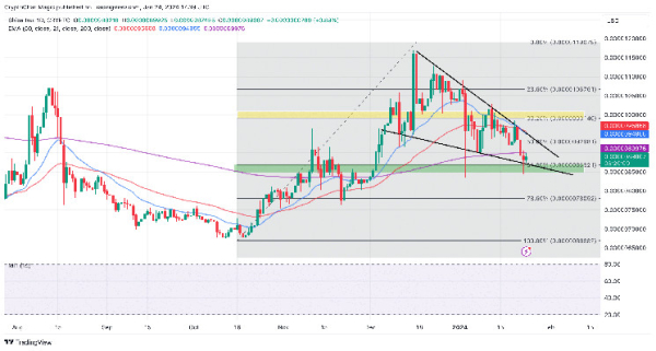 After Falling 61.8% To $0.0000085 Can Shiba Inu Coin Price Climb To $0.00001 In January?