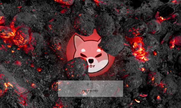 Shiba Inu Burns Heat Up As Shib Ongoing Burn Strategy Wipes Out 9.35 Billion SHIB