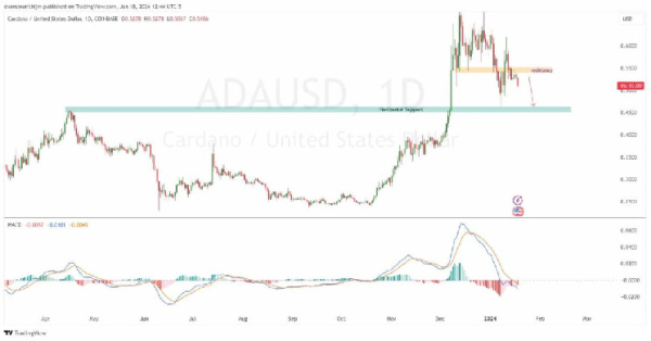 Cardano Price Prediction as Whale Activity Surges to $13 Billion; Will ADA Rebound?