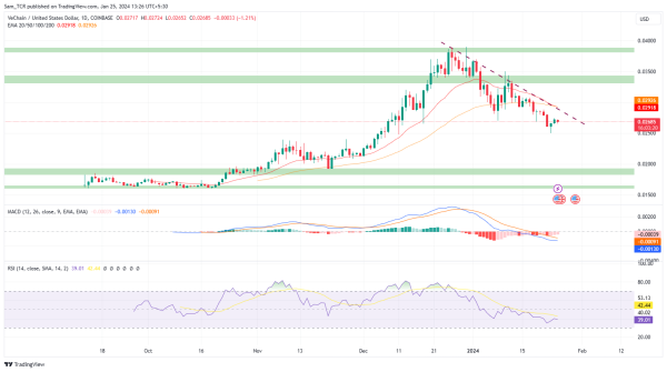 VeChain Crypto: Will VET Crypto Price Decline More Or Rise?