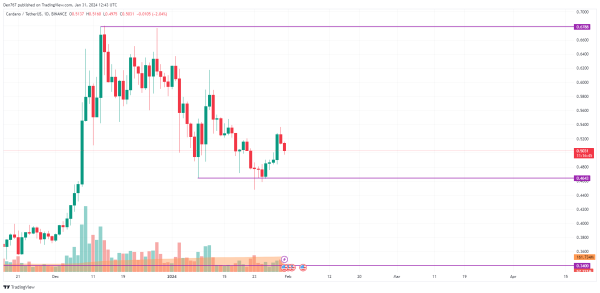 Cardano (ADA) Price Analysis for January 31