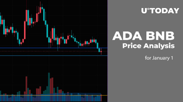 ADA and BNB Price Analysis for January 1