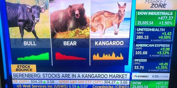 No bull: Bitcoin has been in a kangaroo market for nearly a whole year