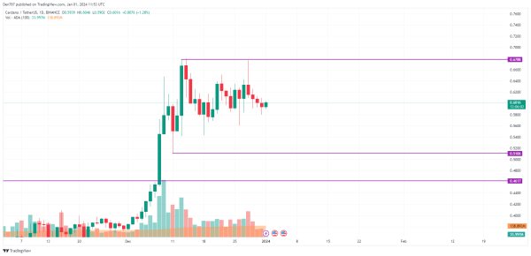 ADA and BNB Price Analysis for January 1