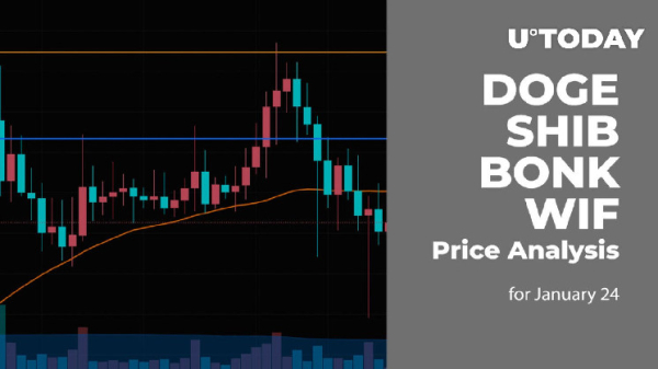 DOGE, SHIB, BONK and WIF Price Analysis for January 24