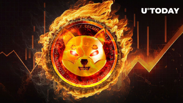 Shiba Inu (SHIB) 900% Burn Rate Surge Is Growth Signal, Here's Why