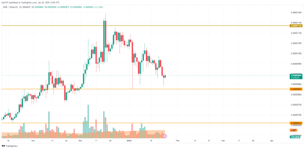 DOGE, SHIB, BONK and WIF Price Analysis for January 24