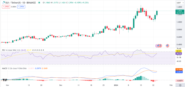 Market Analysis: BTC, ETH, UMA, XAI, TAO, SUI