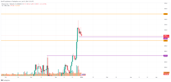 ADA and BNB Price Analysis for January 1