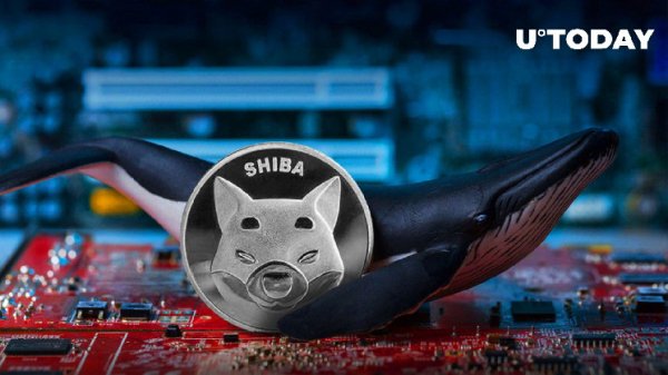 Shiba Inu Whale Alert: $89.88 Million SHIB Transaction Sparks 1,300% Surge Shiba Inu Whale Alert: $89.88 Million SHIB Transaction Sparks 1,300% Surge