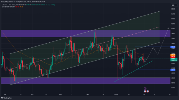Litecoin Crypto: Can LTC Price Sky Rocket & Reach $80 Mark?