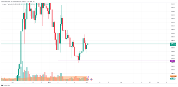 Cardano (ADA) Price Analysis for February 2
