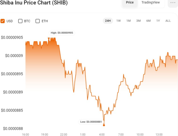 Is SHIB on the Verge of a Rally? Key Factors Suggest Positive Momentum Ahead