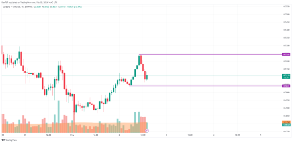 Cardano (ADA) Price Analysis for February 2