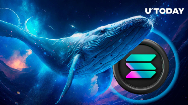 Solana (SOL) Whales Transfer $180 Million in Mysterious Moves