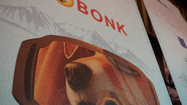 The Biggest BONK Whale Just Invested in 'Ycombinator for Solana' The Biggest BONK Whale Just Invested in 'Ycombinator for Solana'