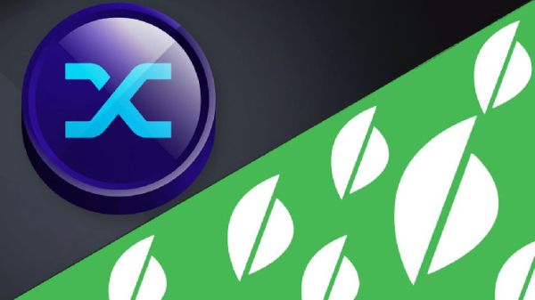 Bluechip Gives Synthetix and Beanstalk Stablecoins F Grades; Tokens Added to the &lsquo;Red Flag List&rsquo;