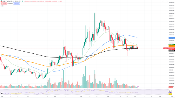 Shiba Inu (SHIB) Sees 150% Burn Rate Surge Amid Price Uncertainty