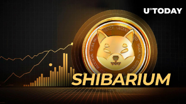 Shiba Inu's Shibarium Skyrockets 621% Amid SHIB Price Breakout