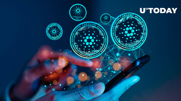 Cardano Foundation Shares Key Adoption Milestones