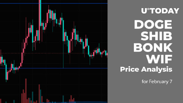 DOGE, SHIB, BONK and WIF Price Analysis for February 7 DOGE, SHIB, BONK and WIF Price Analysis for February 7