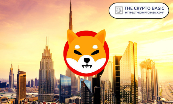Shiba Inu Highlights Its Achievements in Dubai