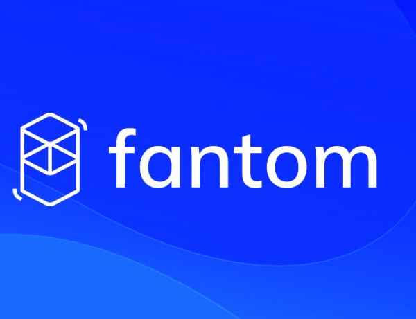Fantom (FTM) Bull Run: 8% Price Surge And Robust Double-Digit Growth In Key Metrics