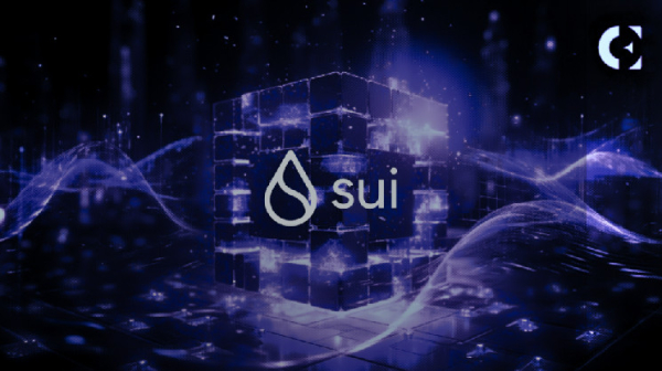 Analyst Criticizes SUI&rsquo;s Centralization, Alleges SUI&rsquo;s Supply Chart Is Lie