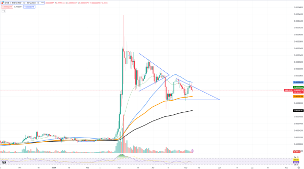 This Shiba Inu (SHIB) Pattern Changes Everything, Bitcoin (BTC) Might Come Back at $58,000, Cardano (ADA) Trend Flattens Out