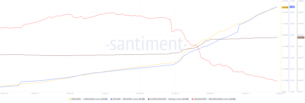 Shiba Inu to $0.0005, Analyst Argues Case with Elliott Wave Theory