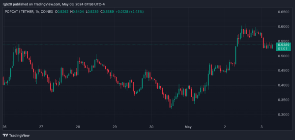 Memecoins Resurgence? POPCAT And MEW Lead The Way With 20% Surge Memecoins Resurgence? POPCAT And MEW Lead The Way With 20% Surge